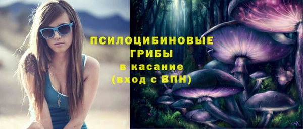каннабис Верея