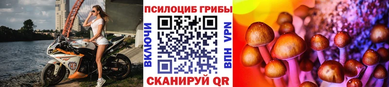 Псилоцибиновые грибы Psilocybine cubensis  Купить где  Велиж 