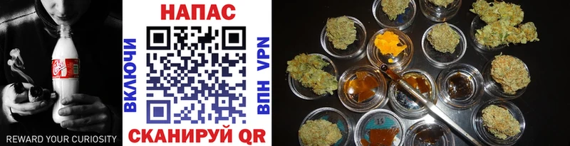 Купить где  Велиж  Бошки Шишки SATIVA & INDICA 